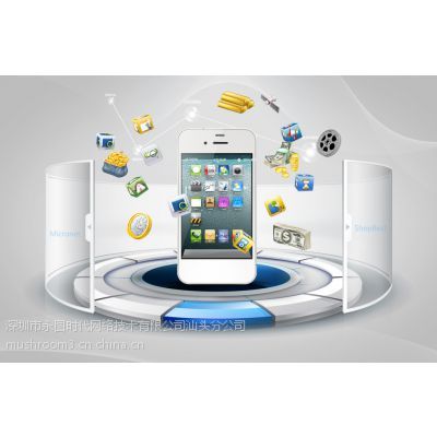 汕頭網站建設與設計專家 打造誠信通旺鋪，賦能企業數字化發展